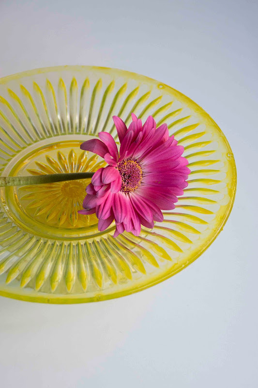 Aesthetic Nest Craft Colored Glass Cake Stand Tutorial