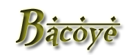 Bacoye Blog's