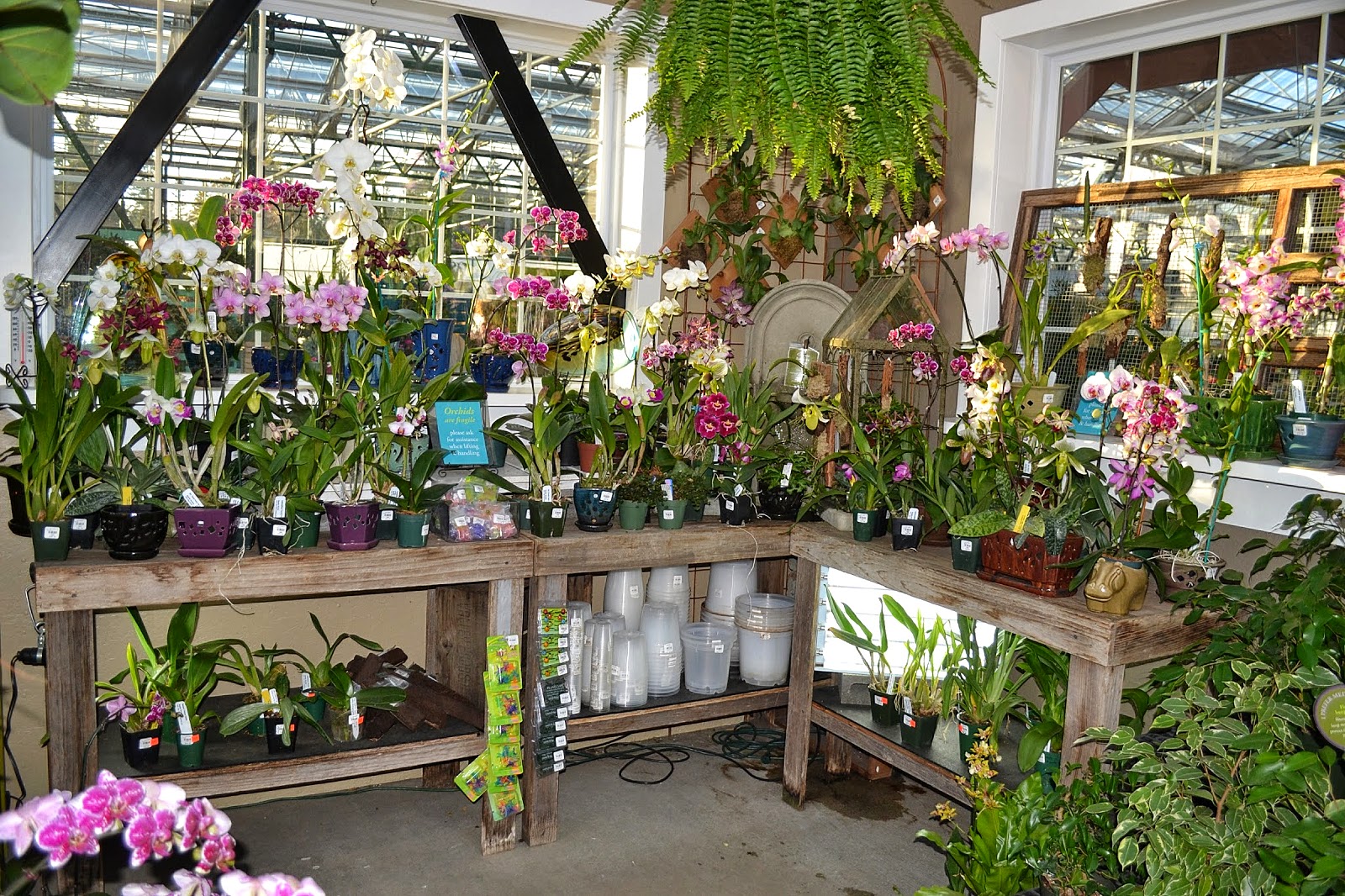 The Outlaw Gardener Sky Nursery Ushers in the Season!