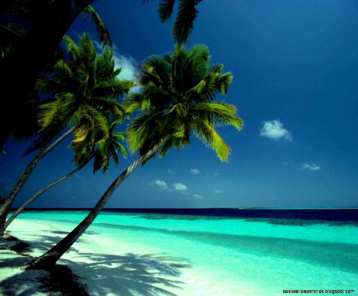 Free Desktop Wallpaper Screensaver WallpaperSafari Free Desktop Wallpaper Screensaver WallpaperSafari