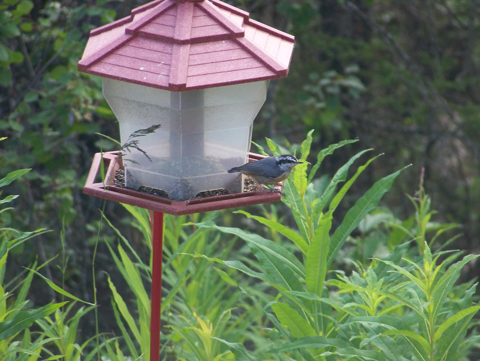 House For Sale MatSu Valley Alaska