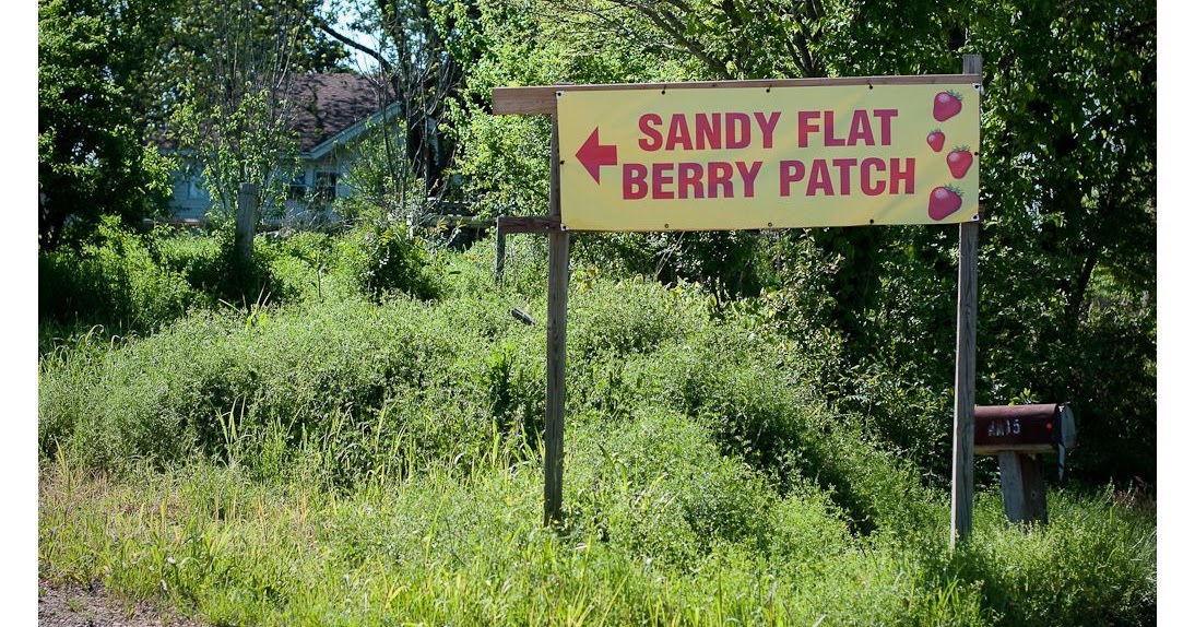 Photographs by Sabrina Lisa of Marvelous Pies