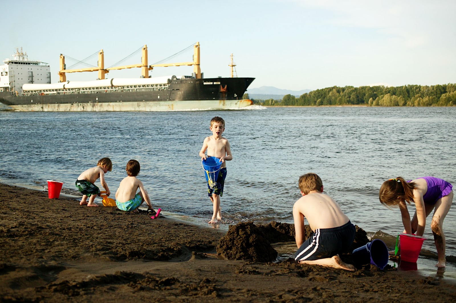 Views From My Window Sauvie Island