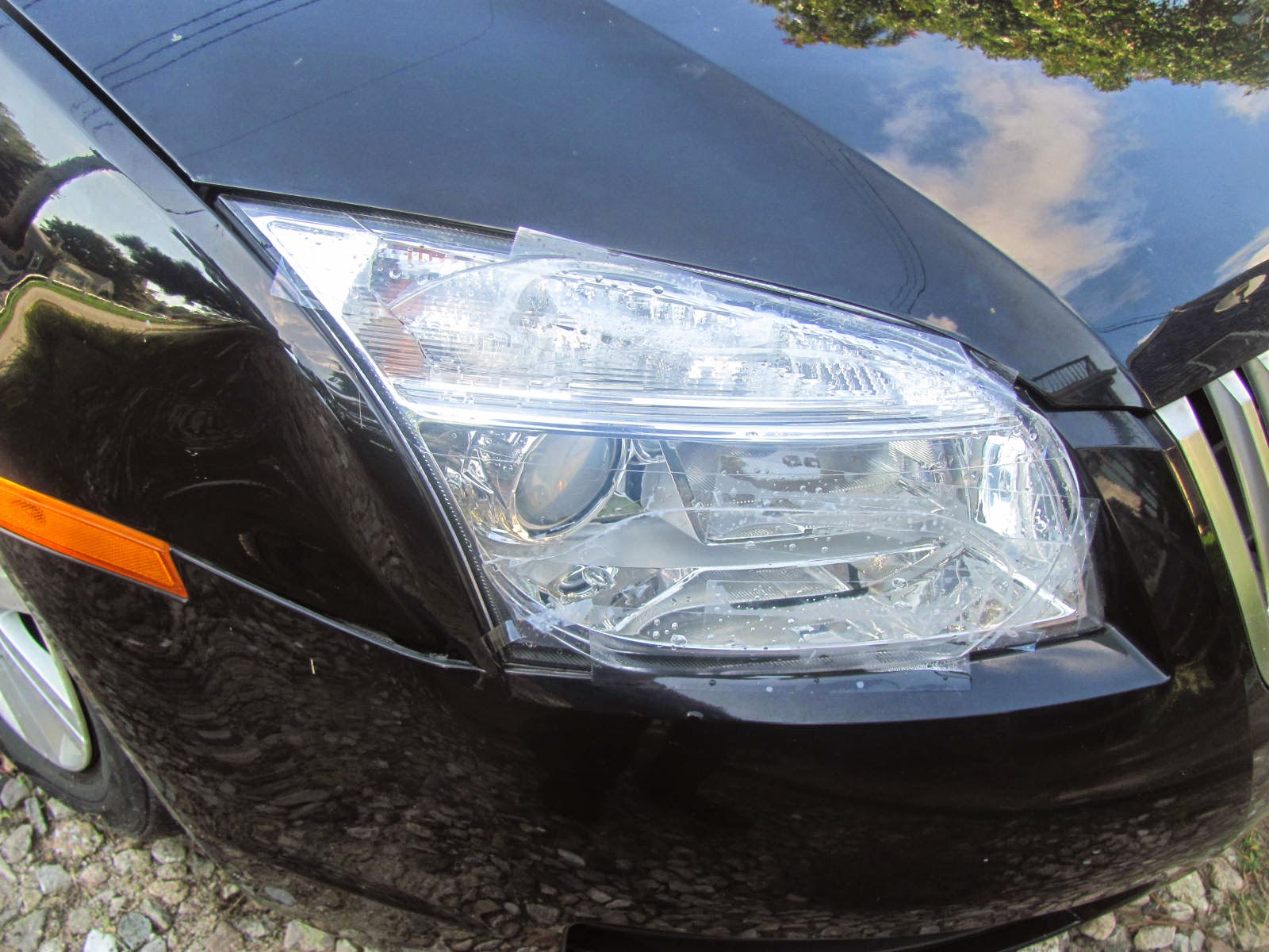 rickshaw's reflections "Deer In Headlights"