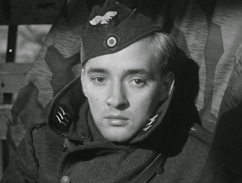 DVD%20Beaver%20-%20Decision%20Before%20D