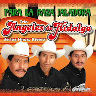 TRIO ANGELES DE HIDALGO