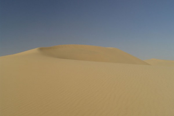 of the Arabian Peninsula.