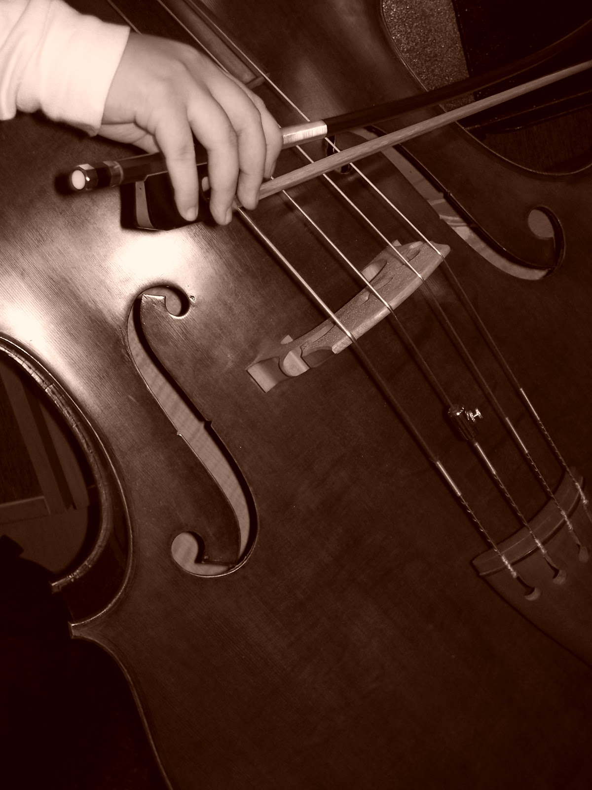 d'Bassists official webhome Holding the bow