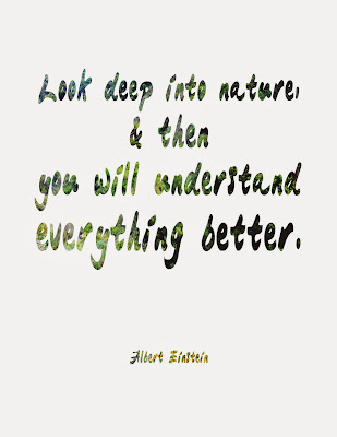 Look Deep into Nature Albert Einstein Quote Art Printable | Haciendo
