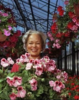 Balkon Pflanzen Und Schlingpflanze Pflege Englisch Ivy Pflanze