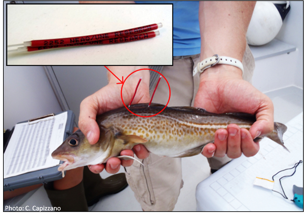 Global Explorers Blog