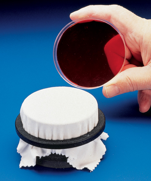 Biology matters August 2012