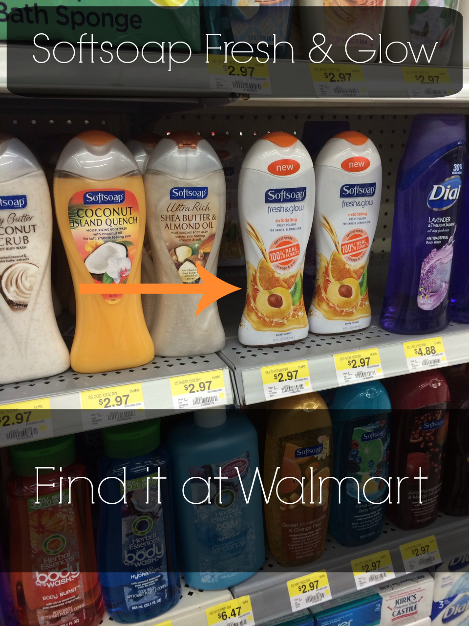 Love, Shelbey Shower Routine for Hydrated and Glowing Skin