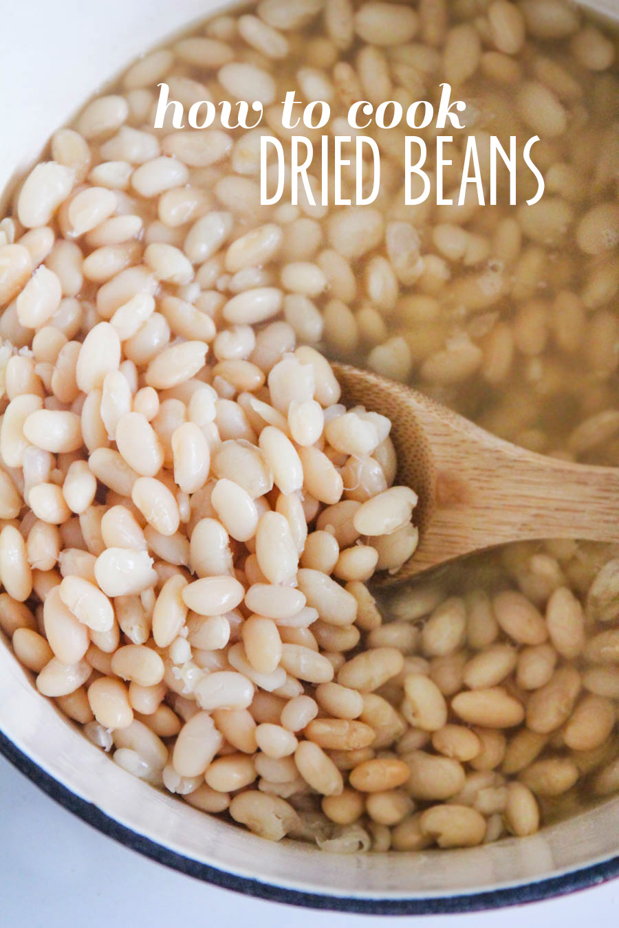 Cooking with dried beans is simple and easy, and a great way to save money in the kitchen!