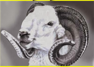 Qurban | Dasar Hukum Qurban dan Pengertian Qurban ~ ilmu tentang islam