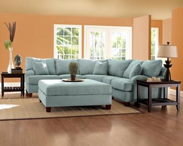 avanit sectional complaints