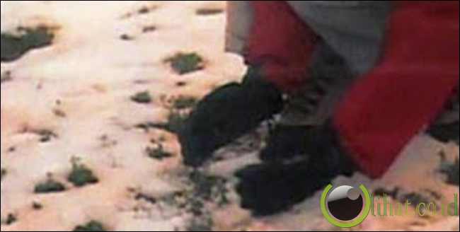 Hujan Salju Berwarna di Siberia Hujan Salju Berwarna di Siberia