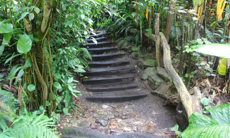 Totally Veg Die Kleinen Dinge Vegane Dankbarkeit