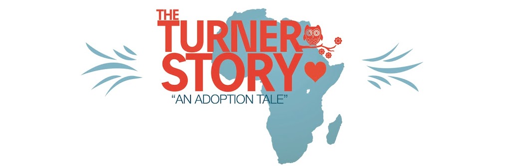 The Turner Story