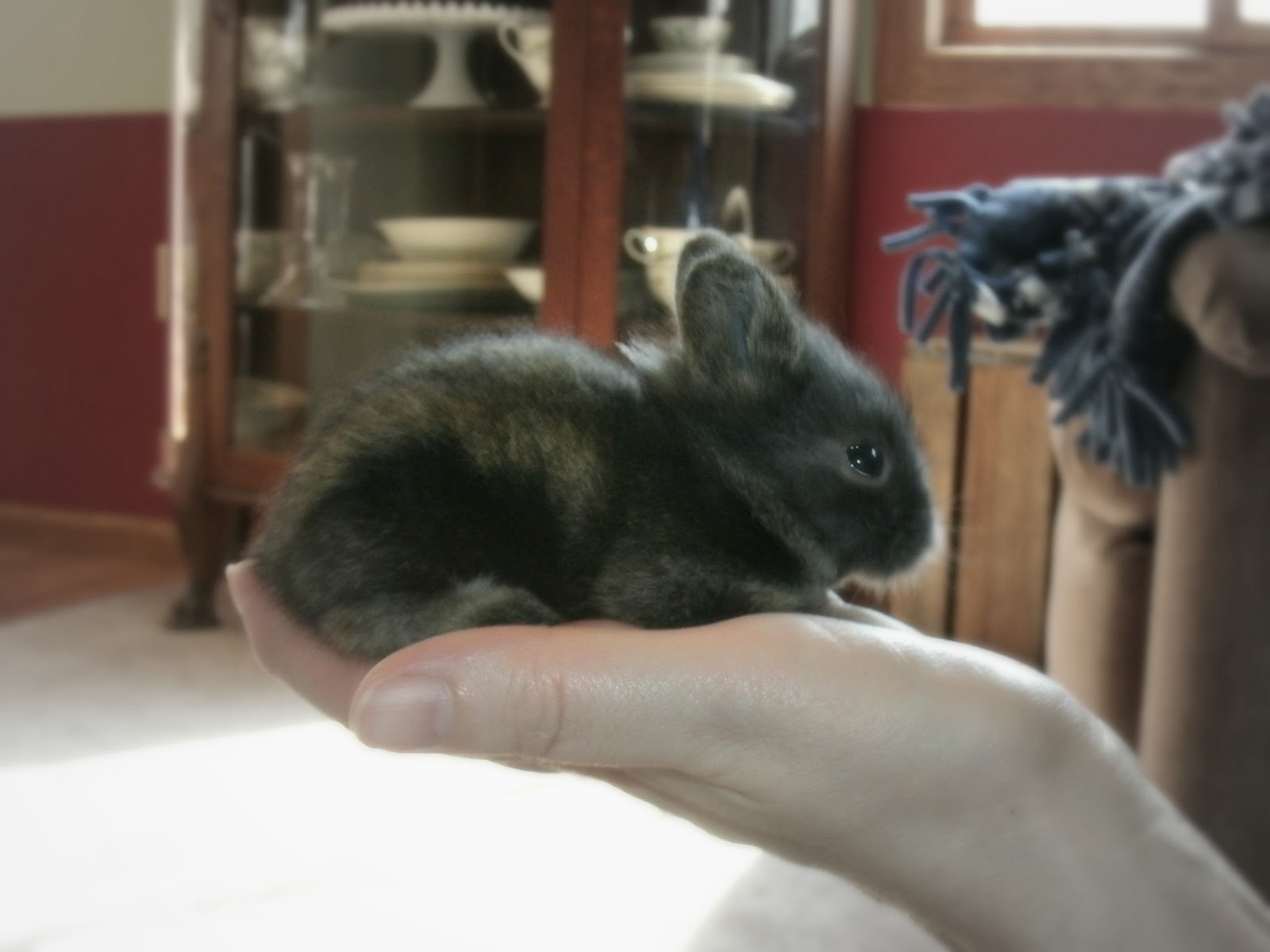 Shady Oak Farm Photo Gallery