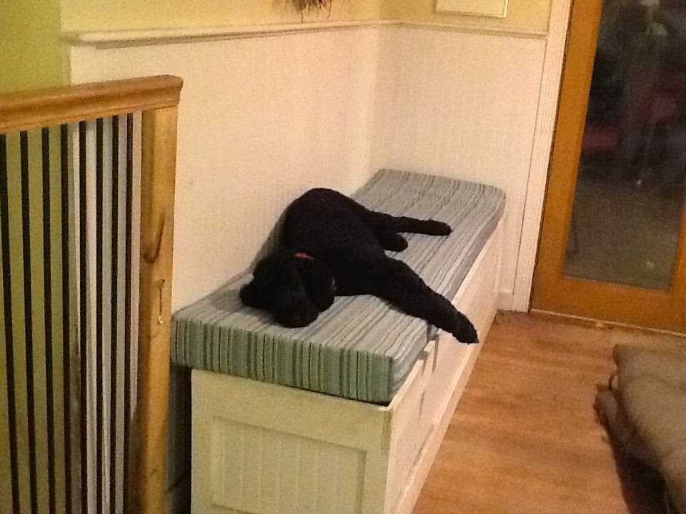 On Aunt Mildred's Porch The World's Most Expensive Dog Bed