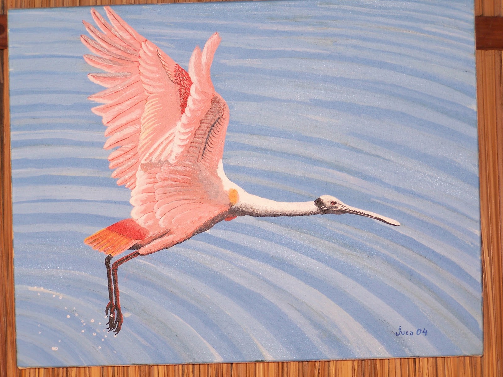 Cultura Guaraní: Garzas rosadas