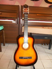 KAPOK WARNA SUNBURST