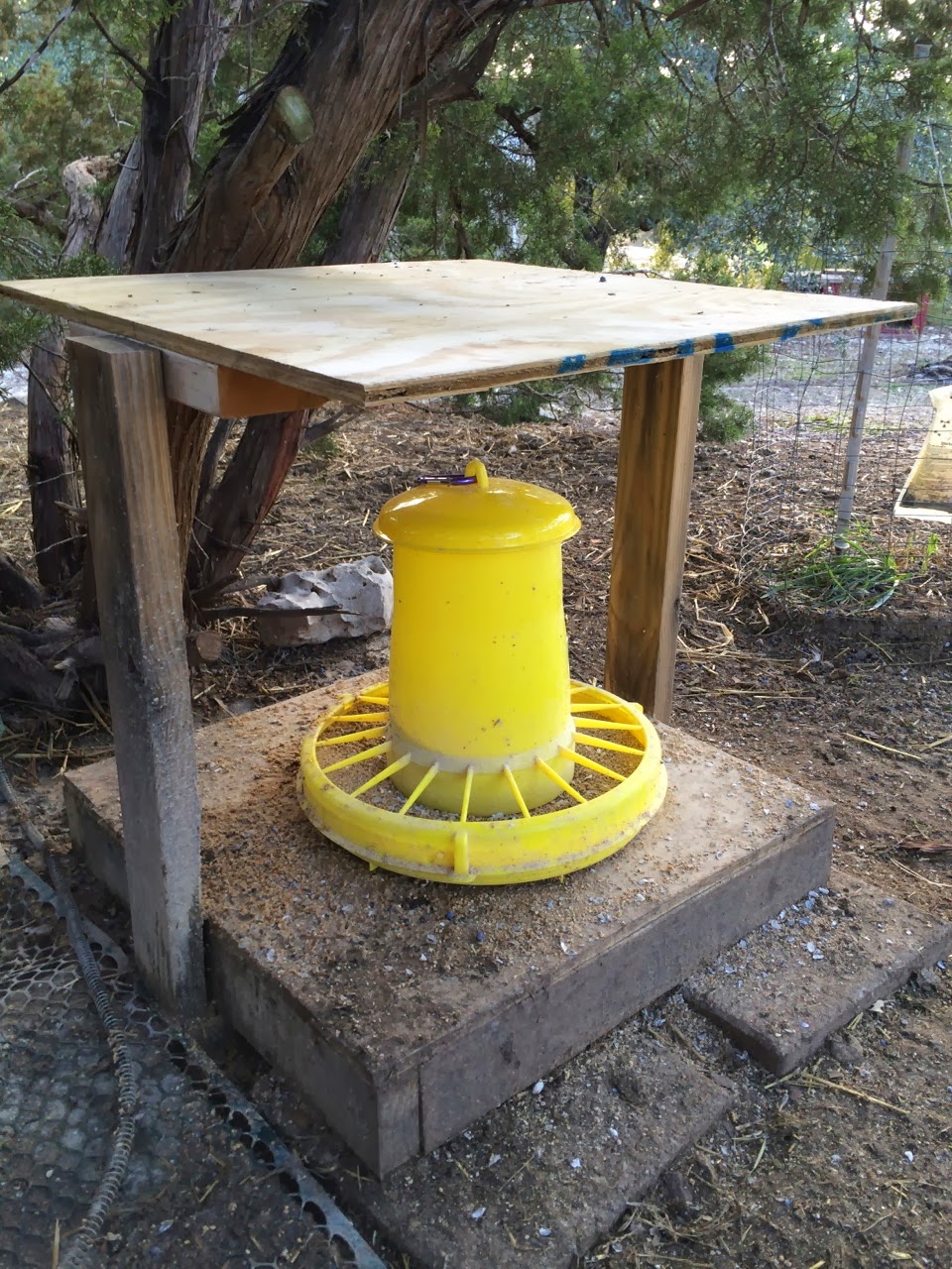 Farm Natters: I Love This Goose & Duck Feeder, Okay?