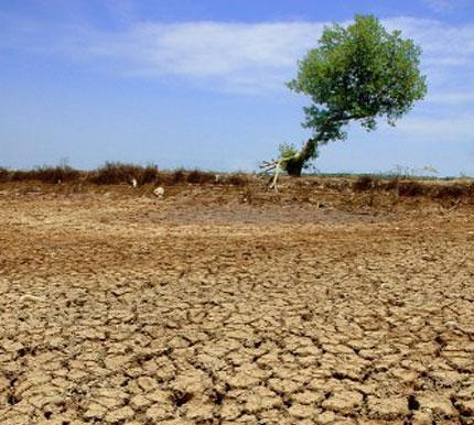 Pengertian Dan Dampak Pemanasan Global