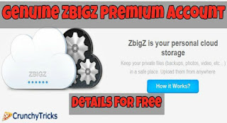 zbigz premium account datails for free