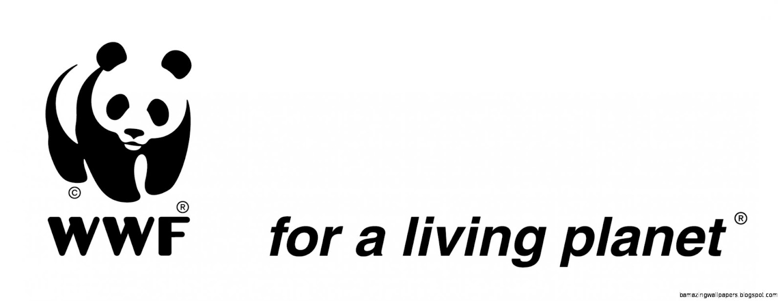 WWF Vacancy Climate amp Business Outreach Coordinator Based In WWF Vacancy Climate amp Business Outreach Coordinator Based In