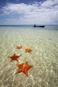 Daydreaming about Bocas. Here's a beach I hope to see: STARFISH BEACH