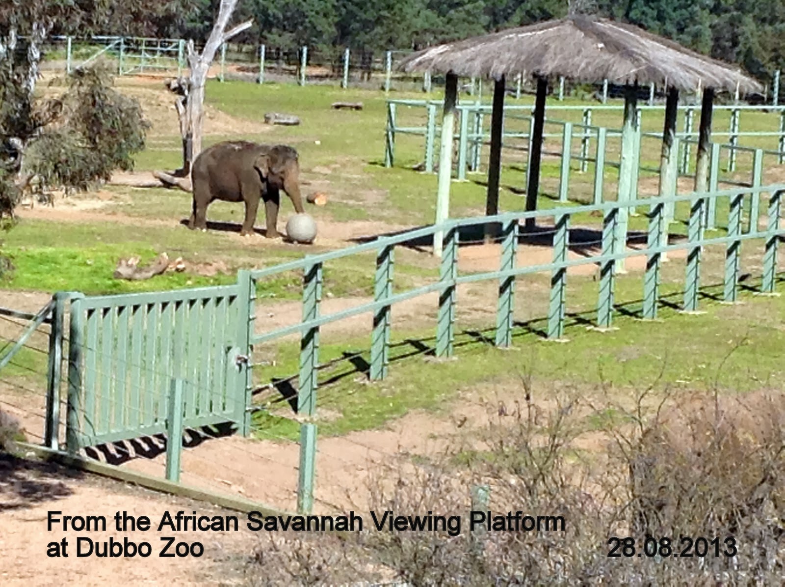 Jan Martin's Travel Blog Dubbo Zoo August 2013
