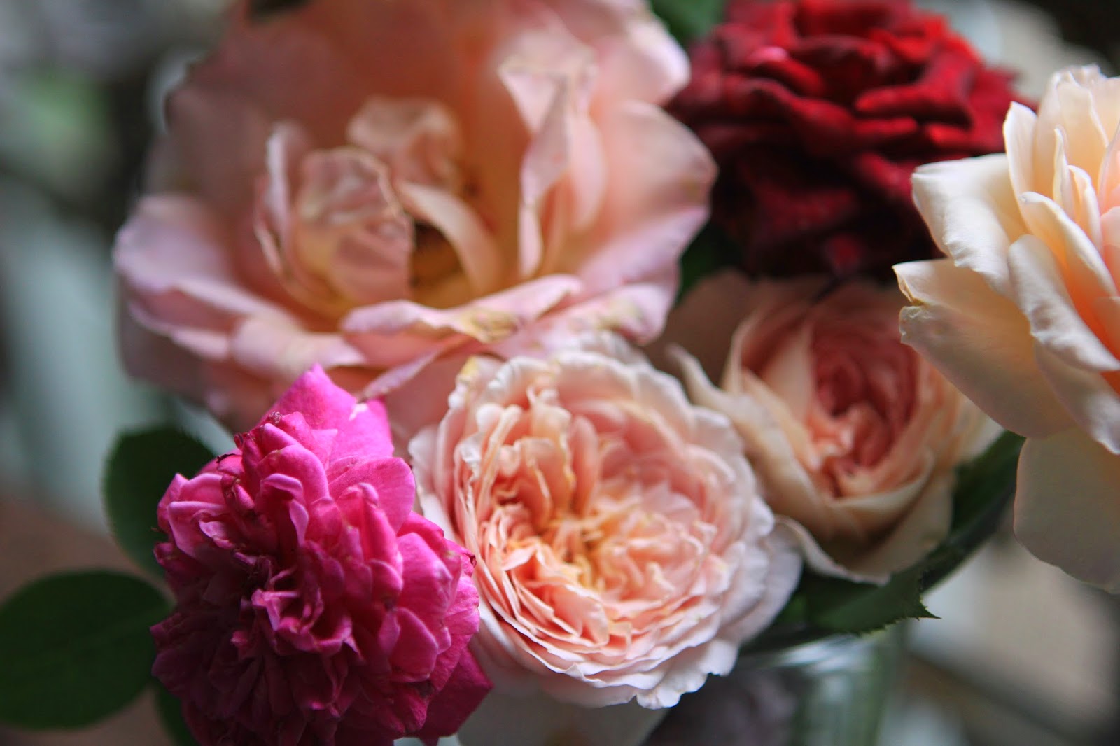 Romancing the Home Faded Roses
