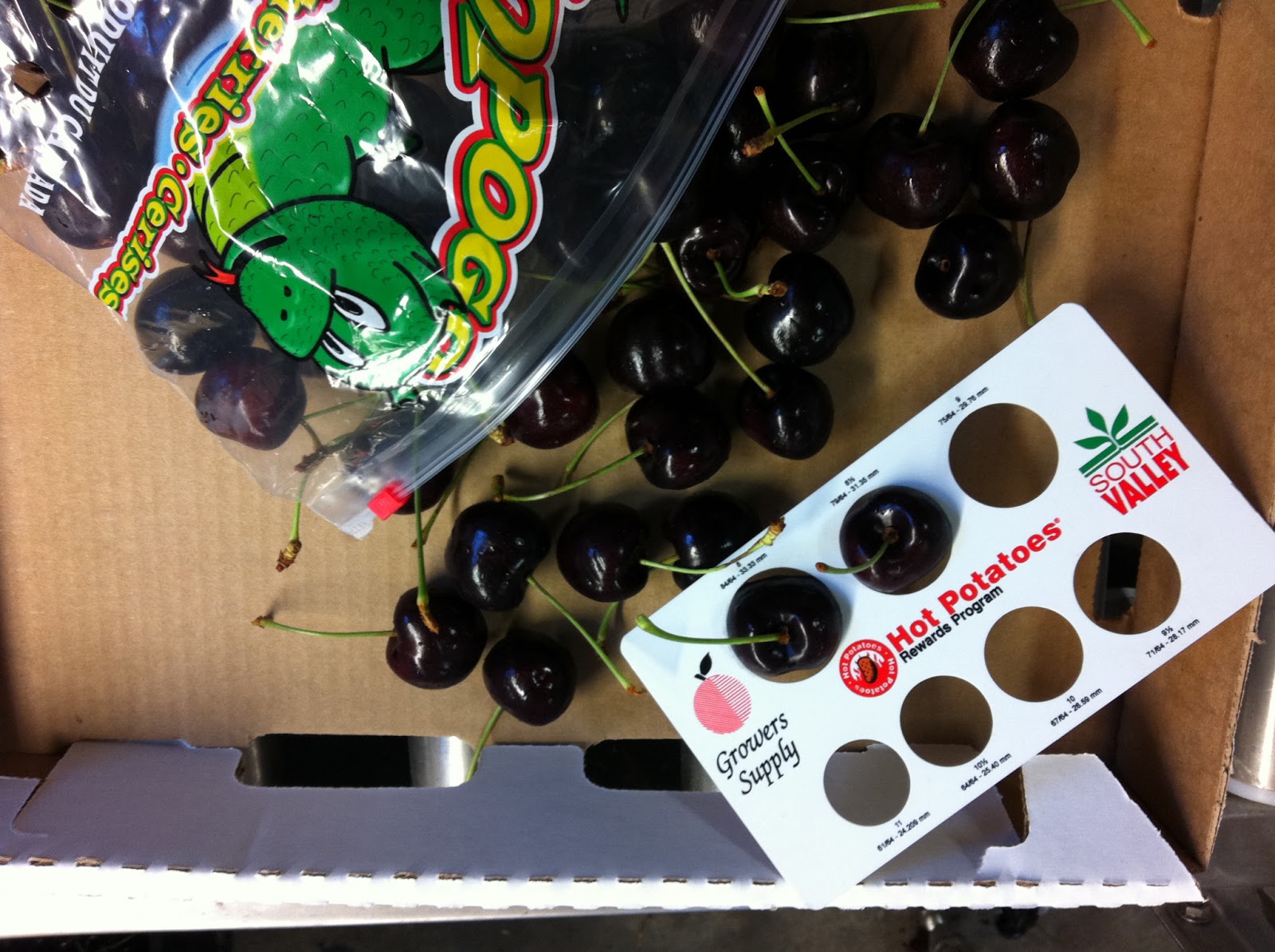 Produce Clerk The Produce Clerks Handbook by RICK CHONG