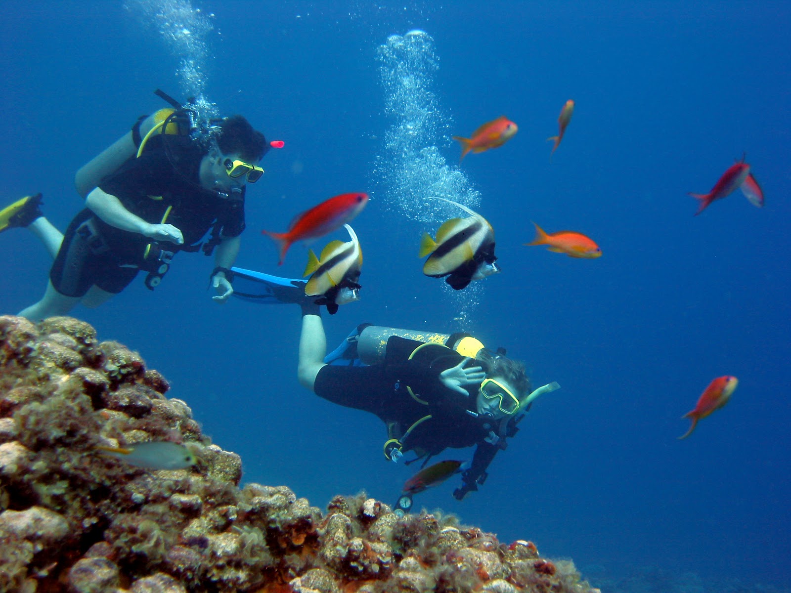 Scuba diving in Thailand information and advice July 2012