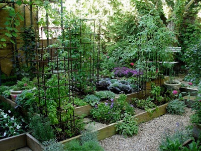 Southern Gardening and Food: Garden bed ideas