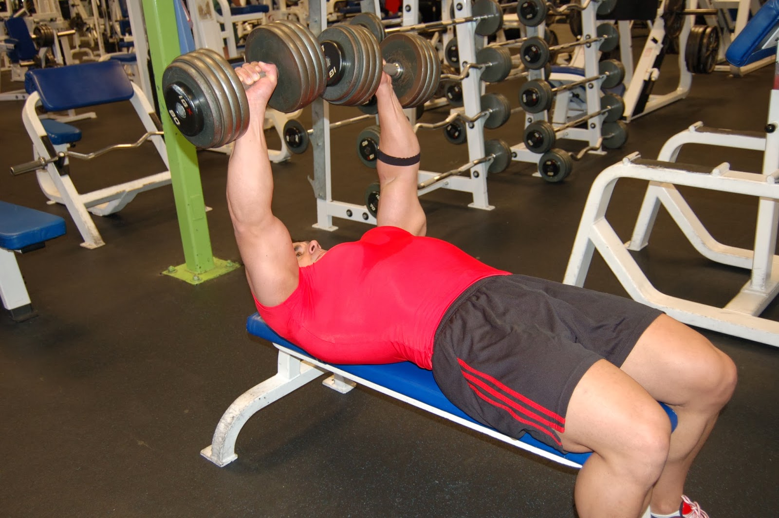 Bodybuilding Evolution Chest Workouts Dumbbell Bench Press