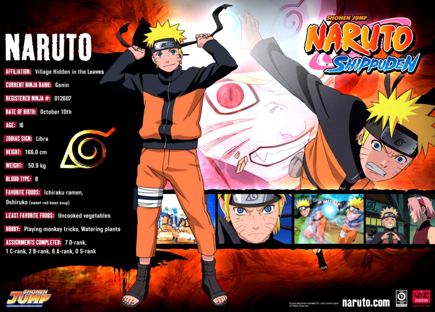Naruto Shippuden Characters Profile Naruto Shippuden Characters Profile