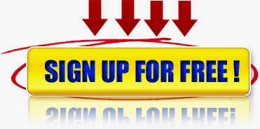 IDPINS: Menjelajahi Lanskap Bisnis Online Indonesia Melalui Identitas Digital