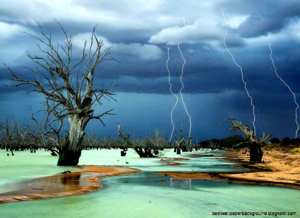 Winners of National Geographic Photography Contest Business Insider Winners of National Geographic Photography Contest Business Insider