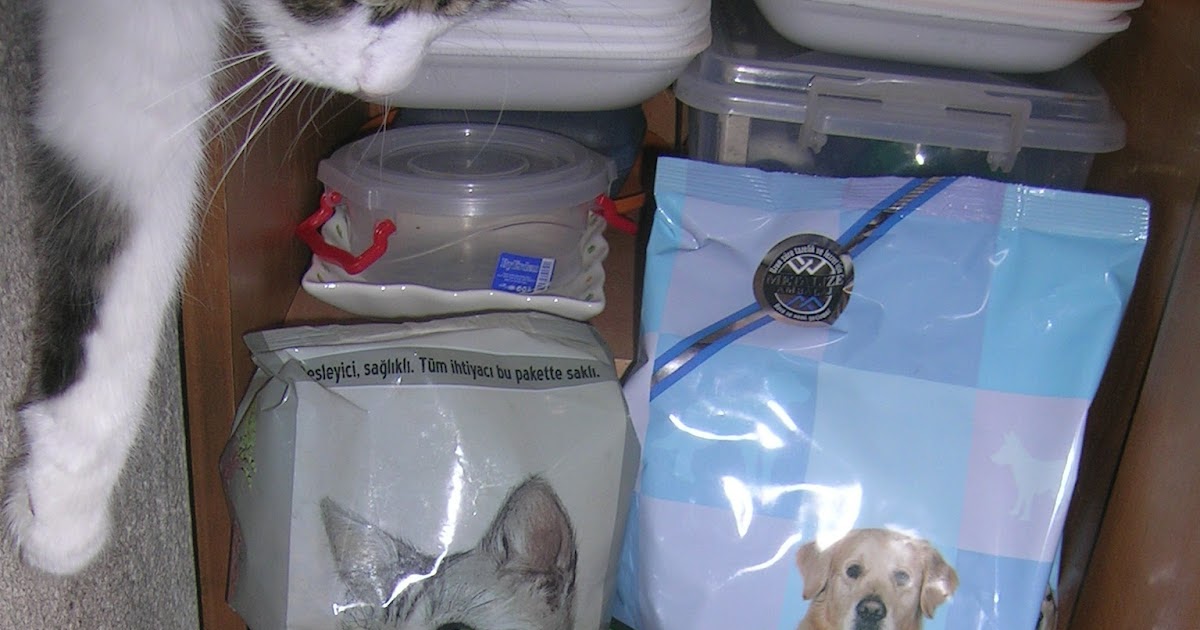 Gül Tasarım Evi dan gelen Mamalar