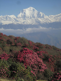 Trekking season in Nepal 