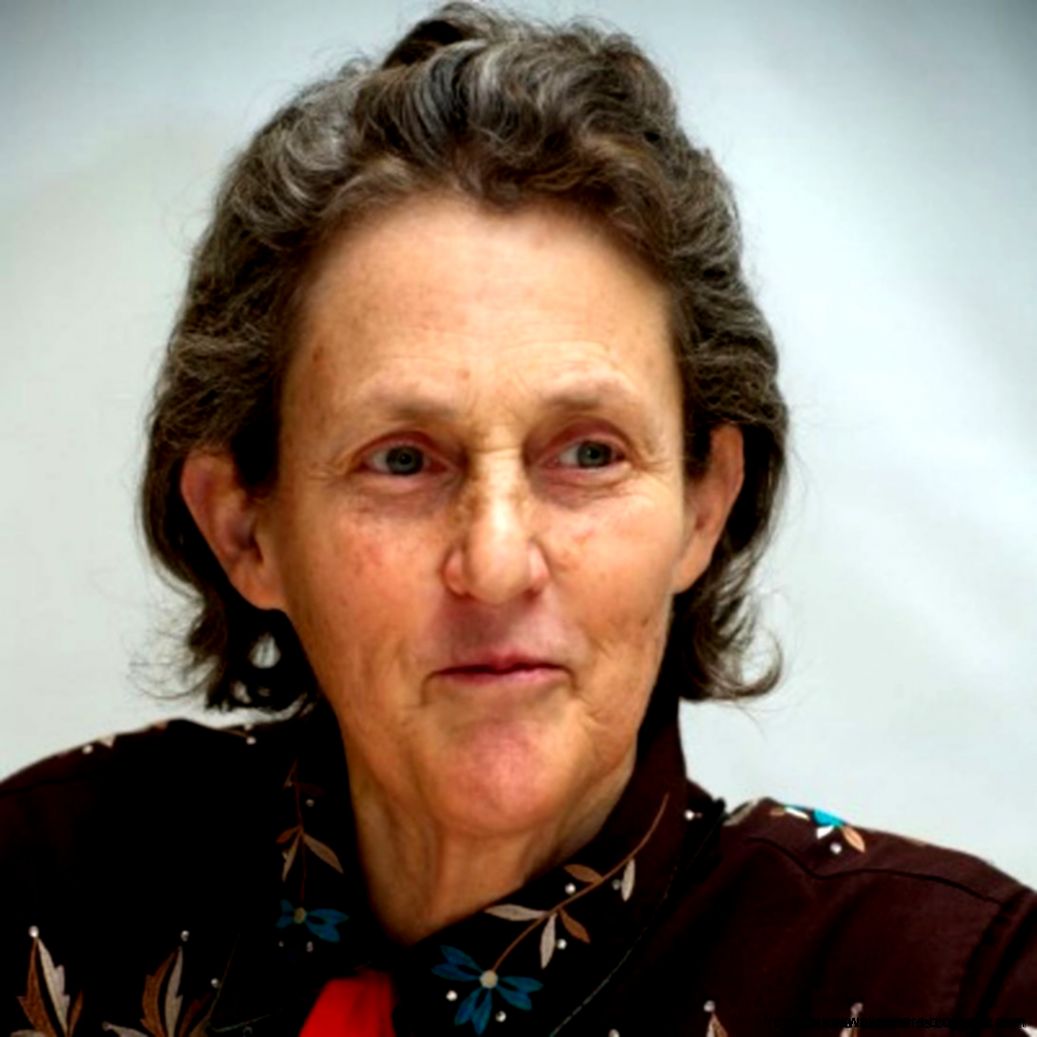 Temple Grandin Hd Background Best Wallpaper HD Temple Grandin Hd Background Best Wallpaper HD