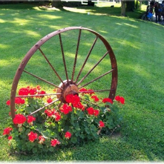 Garden decor ideas ~ English garden