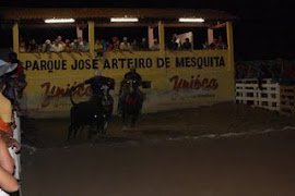 VEM AÌ A 13ª VAQUEJADA DE SANTA QUITÉRIA. DIAS 13,14 E 15 DE MAIO