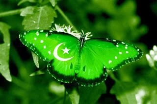 Pakistani Butterfly Girl