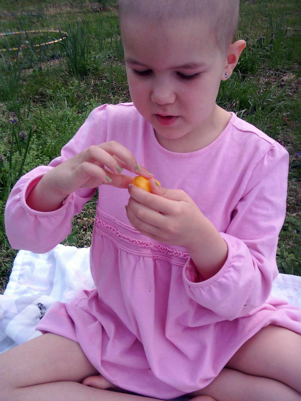 cypress space Introducing Beeswax Modeling