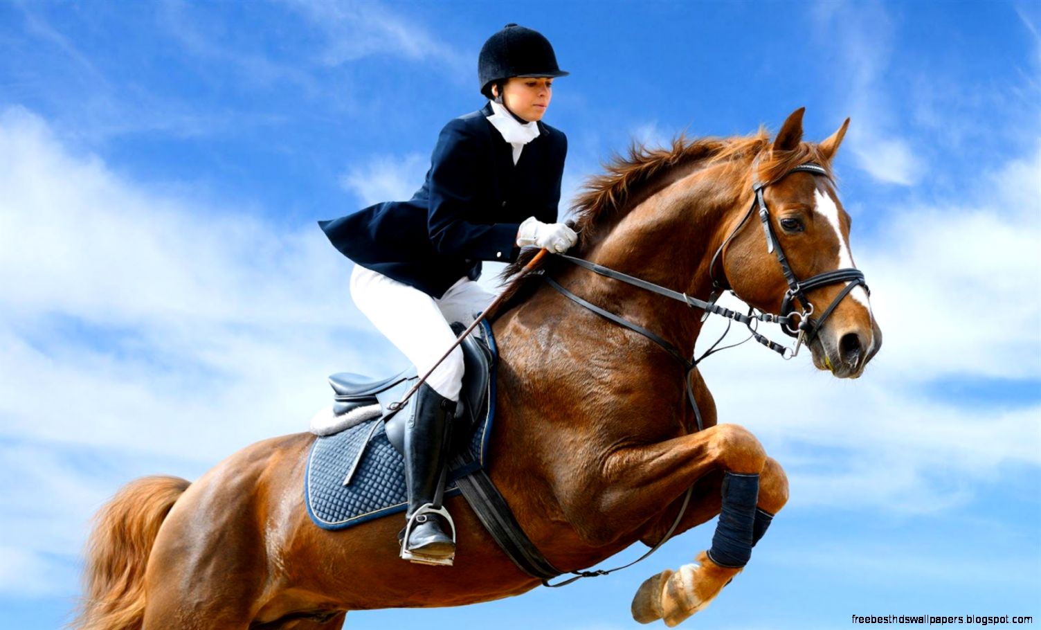 480 X 270 Wallpaper Horse Jumping 480 X 270 Wallpaper Horse Jumping
