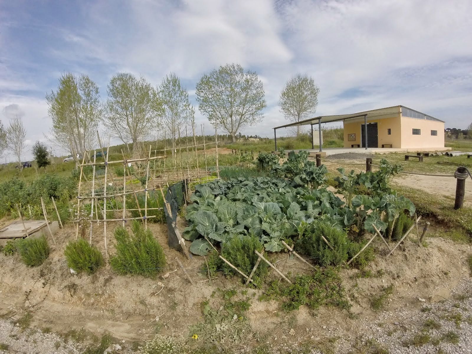 O Conde da Quinta Parque Ecológico da Varzea Hortas Solidárias da